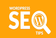 黑帽seo培训班:WordPress 博客，为什么在百度没排名？