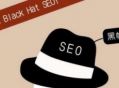 seo黑帽和白帽的区别_seo白帽和黑帽的区别