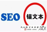 实战seo黑帽之蜘蛛劫持:武汉SEO：企业品牌选择用seo实现宣传
