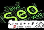 成都黑帽seo:SEO外包怎么运营网站的呢？
