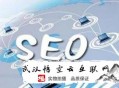 黑帽seo相关书籍:SEO加盟谈网站的高质量文章