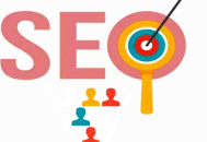 快速收录黑帽seo:百度索引量与收录量，深度剖析它们差异之处！