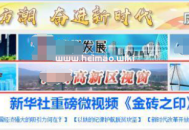 黑帽seo排名：新闻源网站劫持