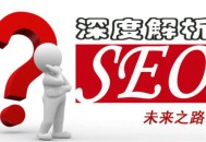 怎么做seo能让百度搜索引擎快速收录网站内容图片