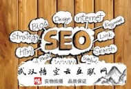 黑帽seo 蜘蛛 页面:SEO官网优化的执行攻略