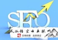 使用黑帽seo:鹿泉SEO署理教你用高权重网站操作