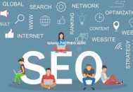 网站SEO基础数据是什么，SEO优化需要关注什么数据