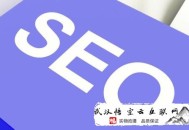 黑帽seo暴利:［SEO优化］网站优化的排名收费尺度