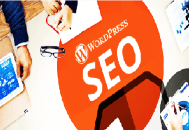 seo黑帽程序搭建:WordPress SEO优化，6个技巧与相关插件！