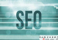 黑帽seo技术视频教程:seo网站优化历程中有哪些要重点关注的地方？