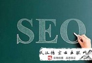 黑帽seo意思:化州SEO：网站优化之内行们会怎么做