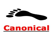 最新j黑帽seo:Canonical标签是什么，它在SEO的应用！