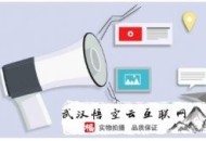 黑帽seo快排:整站优化若何效率上词呢？