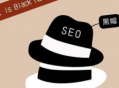 seo黑帽技术网_seo黑帽是什么意思