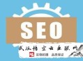 seo的黑帽技术词:无锡SEO网站若何诊断呢？