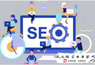 黑帽seo 高粱seo:企业做SEO官网优化是为什么呢？
