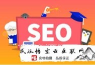 黑帽seo 技术 资源网:深圳SEO署理谈SEO优化工具大全！