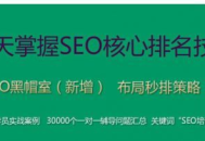 附子seo黑帽课程：探索网络优化的别样路径