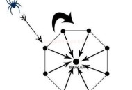 搭建蜘蛛池:服务器的选择