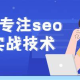 SEO实战免费课程揭秘：黑帽手法大公开