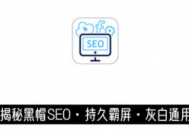 黑帽seo 软件