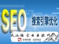 黑帽seo_快照劫持工具:武汉SEO公司谈SEO网站优化注主要点