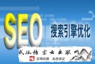 黑帽seo_快照劫持工具:武汉SEO公司谈SEO网站优化注主要点