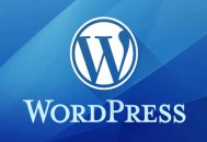 逆冬黑帽seo教程:为什么站长都用WordPress中文博客？