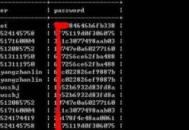 电脑密码hash