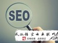 黑帽seo的后果:掌握SEO优化让网站优化变得跟简朴