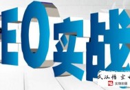 黑帽seo软件 sit:随便先容一下软件刷百度快速排名的方式