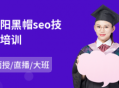 seo 沈阳 黑帽