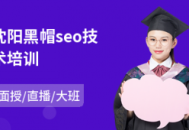 seo 沈阳 黑帽