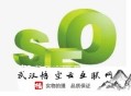 seo黑帽有什么用:SEO照料谈关于优化接单的套路