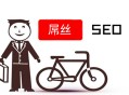 黑帽seo之家:SEO屌丝：若何逆袭，做网站推广？