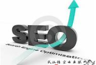 黑帽seo是如何导量的:汕尾SEO:注重建设站群推广的几点