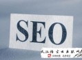 我想当黑帽seo:【吐血整理】SEO施展起来的作用是很大的