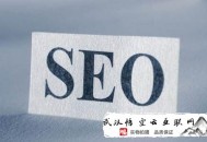 我想当黑帽seo:【吐血整理】SEO施展起来的作用是很大的