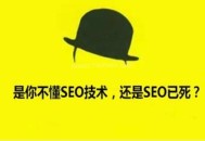 百度会越来越有发展，SEO行业会越来越兴起，不信你看！