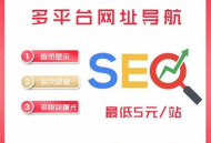 深入剖析黑帽SEO泛目录原理，揭示其背后隐藏的秘密