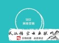 黑帽seo新站多久上排名:丽江SEO署理：要害词优化需要考究哪些方式呢？