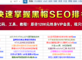 揭秘SEO黑帽工具实现快速排名的方法与技巧