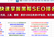 揭秘SEO黑帽工具实现快速排名的方法与技巧