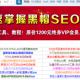 揭秘SEO黑帽工具实现快速排名的方法与技巧