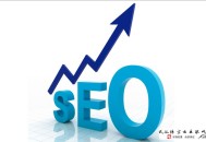 怀化黑帽seo:SEO网站基础之各级其余SEOer文章对照