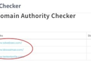 外贸seo常用黑帽手法揭秘：规避风险，把握白帽优化正道