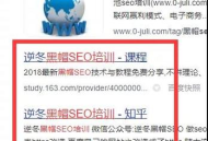 黑帽SEO：探索不为人知的网络盈利蹊径，并非单纯只为赚钱