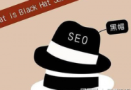 seo黑帽是什么意思（seo白帽和黑帽是什么意思）