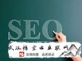 黑帽seo技术艺术 pdf:网站的优化全方位追踪