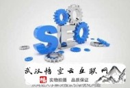 站无不胜 黑帽seo:【seo教程】seo若何快速入门